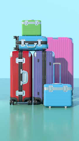 nz luggage