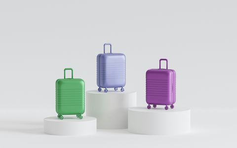 new zealand luggage
