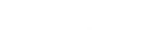San Michelle Bags
