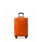 San Michelle Wild Adventurer 55cm Suitcase